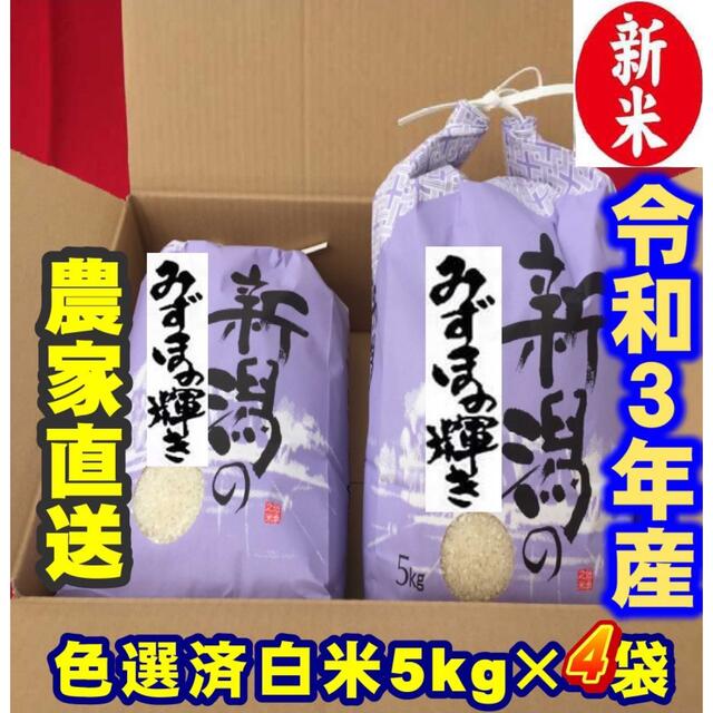 食べ比べ新米・令和5年産新潟みずほの輝き　コシヒカリ　白米5kg各1個　10キロ