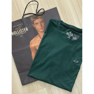 ホリスター(Hollister)の『内親王様専用』☆ホリスター メンズワンポイントUネックTシャツ☆L(Tシャツ/カットソー(半袖/袖なし))