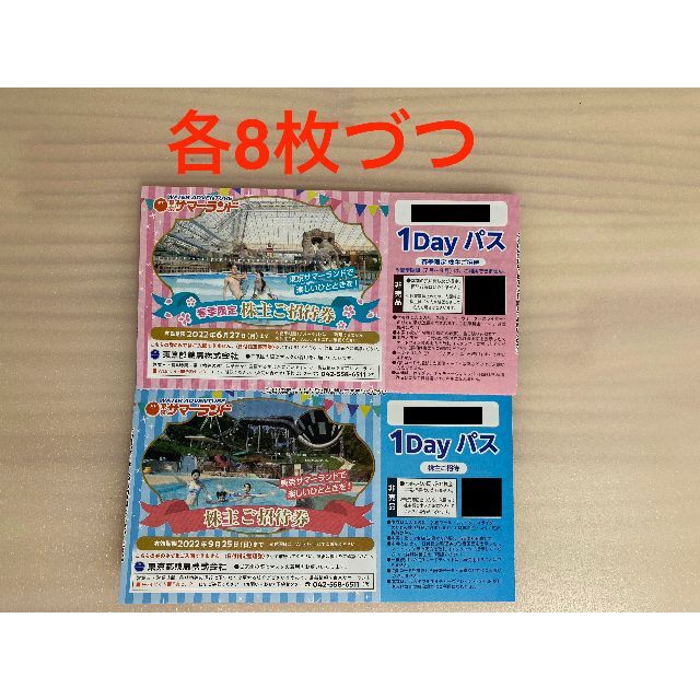 売れ筋オンラインストア 東京サマーランド 株主優待 1Dayパス×16枚+α