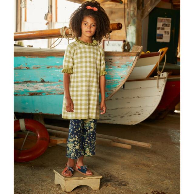 Misha & Puff(ミーシャアンドパフ)のPicnic Ruffle Dress - Willow / 3-4y キッズ/ベビー/マタニティのキッズ服女の子用(90cm~)(ワンピース)の商品写真