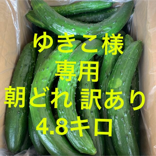 ゆきこ様専用 朝どれ きゅうり 訳あり 4.8キロ キュウリ 野菜の通販 by