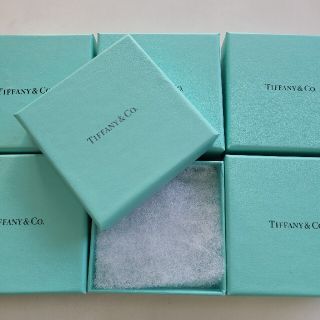 新品TIFFANYティファニーアクセサリーボックス&ポーチ6セット