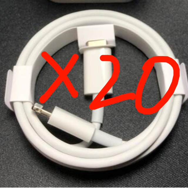 夏・お店屋さん iPhone充電器1m type-c 20W USB-Cケーブル 通販 アップル純正 充電ケーブル USB-A ライトニング 1m 正規品