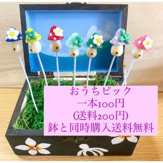 〜そのまま飾れる〜多肉植物寄せ植え(ハンドメイド)おうちピック