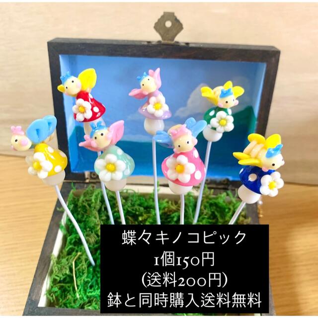 〜そのまま飾れる〜多肉植物寄せ植え(ハンドメイド)