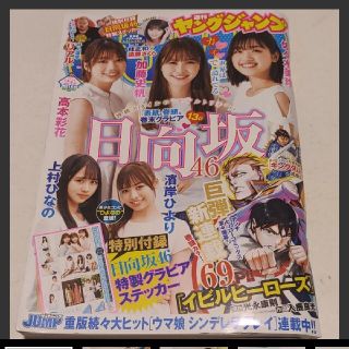 ノギザカフォーティーシックス(乃木坂46)の日向坂46 ステッカー付録  週刊ヤングジャンプ  26号  応募券無(青年漫画)