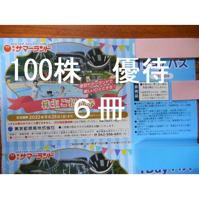6冊 100株優待】 東京都競馬 東京サマーランド 株主優待券 今ならほぼ