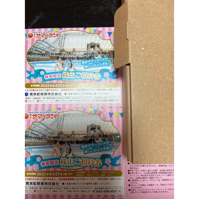 2枚　東京都競馬　株主優待券　東京サマーランド チケットの施設利用券(遊園地/テーマパーク)の商品写真