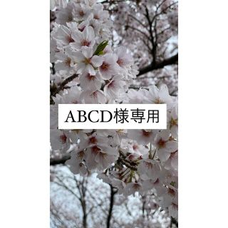 abcd様専用(その他)