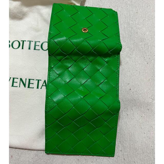 Bottega Veneta BOTTEGA VENETA パラキート ミニ財布 ウォレット