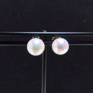 エテ(ete)の【エテ ete】プラチナPt900 パール ピアス Lサイズ 現行品(ピアス)