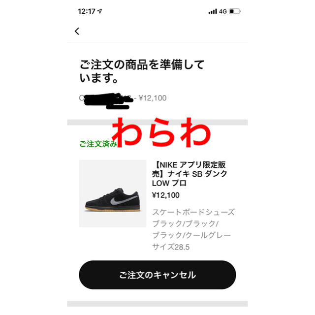 NIKE SB DUNK LOW PRO BLACK FOG 28.5cm 3