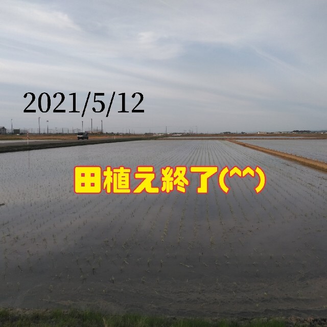 特別栽培米新潟県産コシヒカリ15k