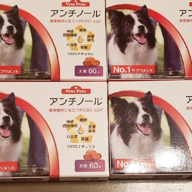 アンチノール60粒入り4箱　専用犬