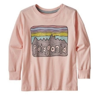 パタゴニア(patagonia)の【おふちゃんさん専用】patagonia  ロンT 2T(Tシャツ/カットソー)