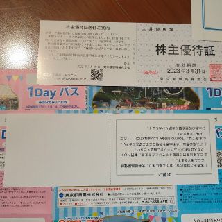 最新 2セット 計16枚  東京都競馬 株主優待券 サマーランド1Dayパス(遊園地/テーマパーク)