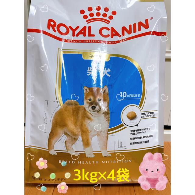 ロイヤルカナン　ドライフード　柴犬子犬　3kg×4袋 その他のペット用品(ペットフード)の商品写真