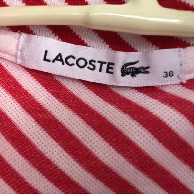 LACOSTE(ラコステ)のラコステ　レディース　ポロシャツ レディースのトップス(ポロシャツ)の商品写真