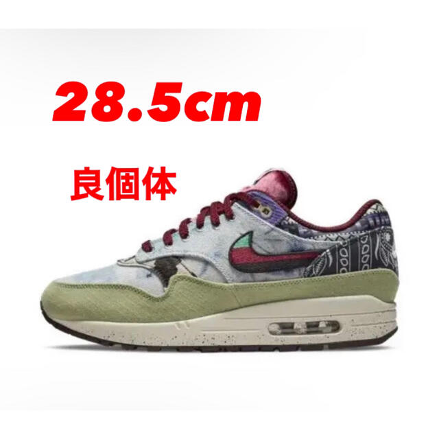 NIKE ナイキ　エアマックス　air max 1 concepts コンセプツ