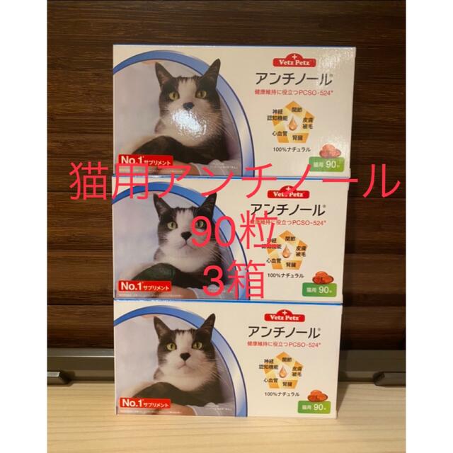 猫用アンチノール90粒入り新品未開封3箱その他