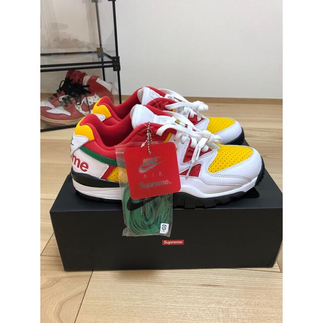 Supreme Nike Air Cross Trainer 3 Low