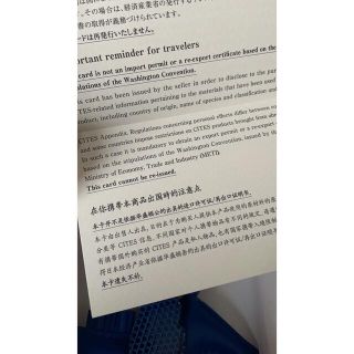入手困難❣️正規エルメス ロデオペガサスタッチ PM チャーム ブルーフランス 入手困難❣️正規エルメス ロデオペガサスタッチ PM チャーム ブルーフランス
