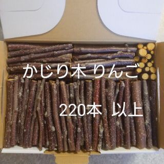 かじり木りんご 220本(小動物)