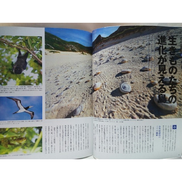 絶版◆◆週刊日本の世界遺産＆暫定リスト1小笠原諸島◆◆絶滅危惧種　母島　父島●● エンタメ/ホビーの本(人文/社会)の商品写真