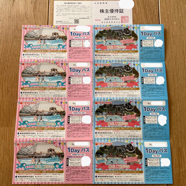 東京サマーランド株主優待券 1Dayパス 16枚、大井競馬場 2枚-