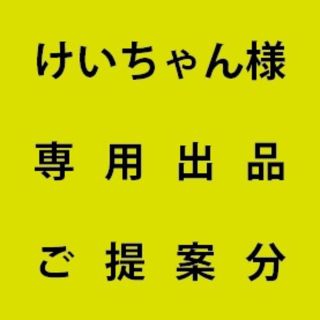 けいちゃん様専用出品(プランター)