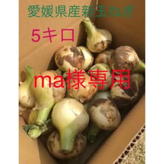 ma様専用。新玉ねぎ 約5キロ(野菜)