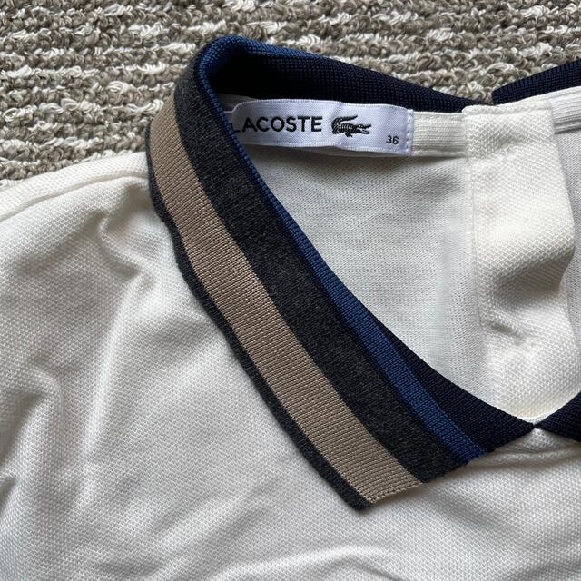 LACOSTE(ラコステ)のしろ様専用　LACOSTE ポロシャツ36 レディースのトップス(ポロシャツ)の商品写真
