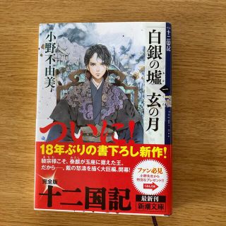 白銀の墟　玄の月 十二国記 第一巻(文学/小説)