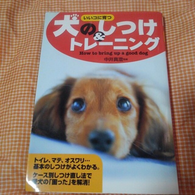 犬のしつけ＆トレ－ニング いいコに育つ★ｳｴ エンタメ/ホビーの本(住まい/暮らし/子育て)の商品写真