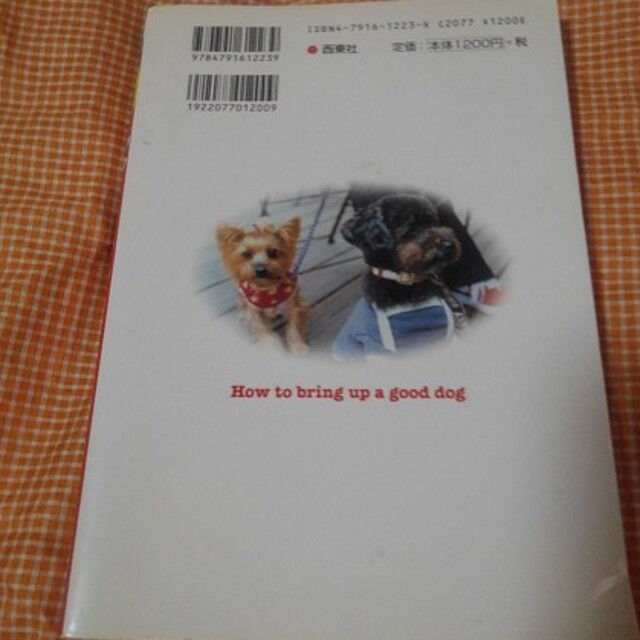 犬のしつけ＆トレ－ニング いいコに育つ★ｳｴ エンタメ/ホビーの本(住まい/暮らし/子育て)の商品写真