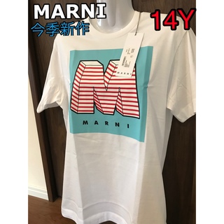 マルニ ロゴTシャツ Tシャツ(レディース/半袖)の通販 83点 | Marniの 