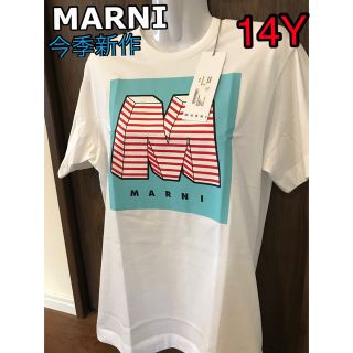 マルニ(Marni)のMARNI  Tシャツ  Mロゴ プリント　新品未使用　14Y(Tシャツ(半袖/袖なし))