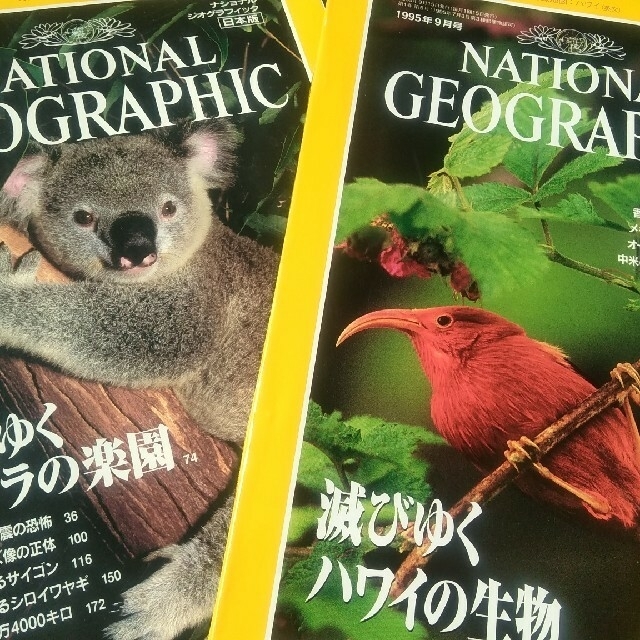 ナショナルジオグラフィック1995年版4月～12月号