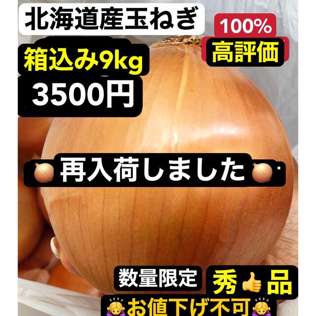 箱込み9kg　北海道産の玉ねぎ　野菜
