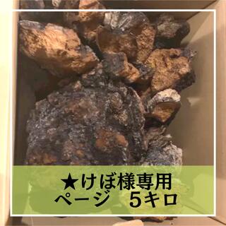 けぼ様専用ページ　カバノアナタケ五キロ(野菜)