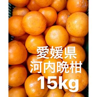 愛媛県産　河内晩柑　宇和ゴールド　柑橘　ジュース用　15kg(フルーツ)