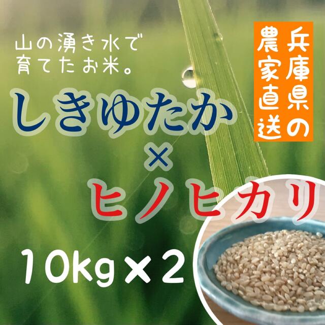 農家の新米食べ比べ◎兵庫県産シキユタカ×ヒノヒカリ 各10kg
