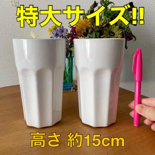 イケア(IKEA)の［IKEA］高さ約15cm ビッグサイズ 特大陶器製タンブラー（２客セット）(グラス/カップ)