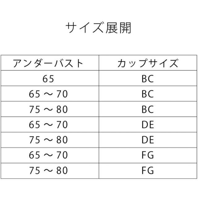 BRADELIS New York(ブラデリスニューヨーク)のブラデリスニューヨーク　ナイトブラ　NY/75〜80DE レディースの下着/アンダーウェア(ブラ)の商品写真