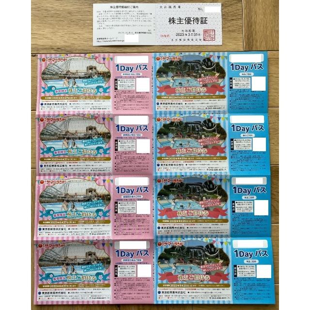 プール東京サマーランド １dayパス 8枚セット 大井競馬場株主優待証１枚 匿名配送