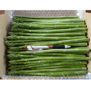 細アスパラガス 1kg 新鮮野菜(野菜)