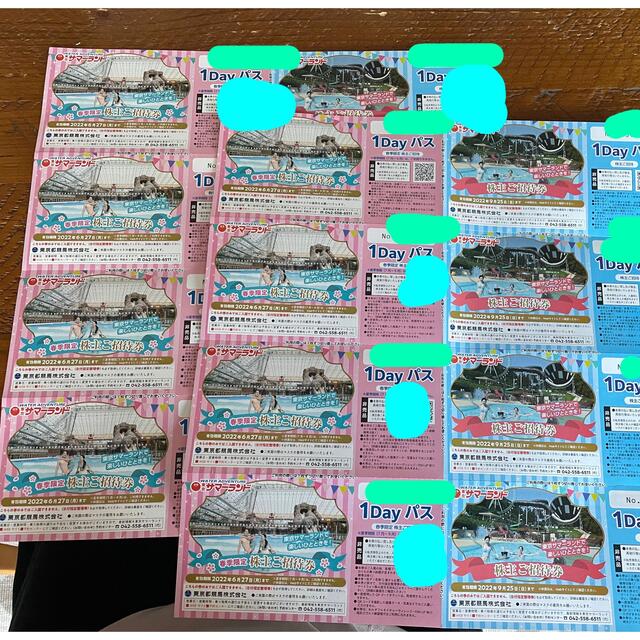 サマーランド 東京都競馬株主優待券 2冊 サマーランド 東京都競馬株主優待券 2冊