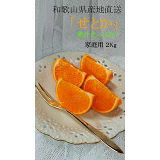 せとか　みかん　２Kg　(フルーツ)
