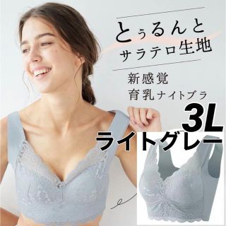 シームレス ナイトブラ ノンワイヤー 伸縮性 ストレスフリー ライトグレー 3L(ブラ)