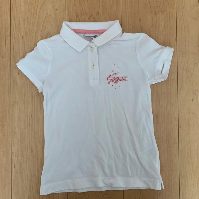 LACOSTE(ラコステ)のLacoste ポロシャツ キッズ/ベビー/マタニティのキッズ服女の子用(90cm~)(Tシャツ/カットソー)の商品写真